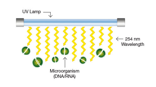 紫外線和臭氧哪個(gè)殺菌效果好